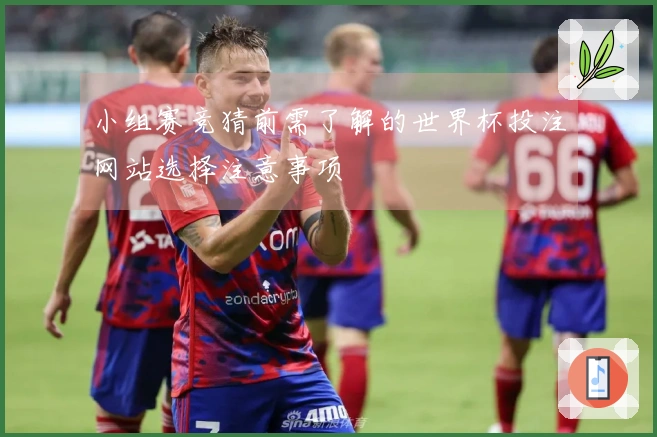 小组赛竞猜前需了解的世界杯投注网站选择注意事项