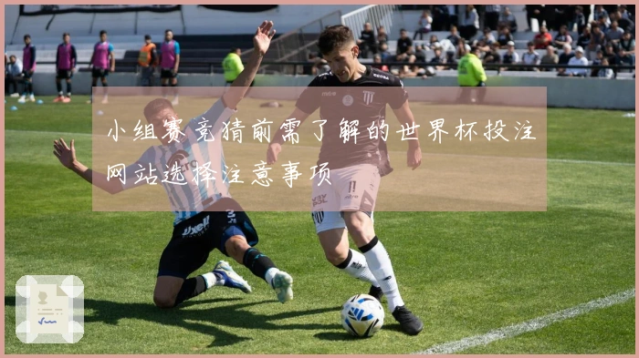 小组赛竞猜前需了解的世界杯投注网站选择注意事项