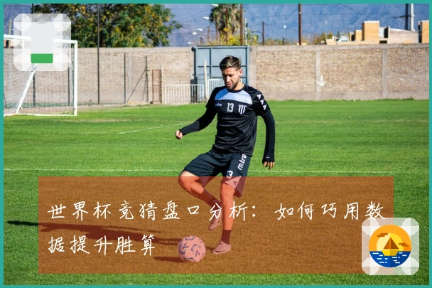 世界杯竞猜盘口分析：如何巧用数据提升胜算
